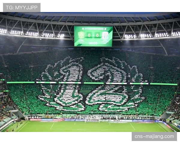 特写镜头：威斯特法伦球场南看台巨型TIFO为球队助威